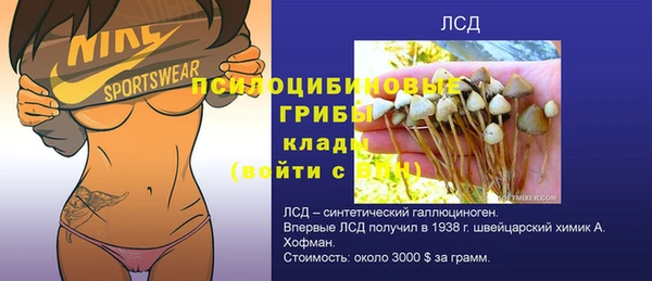 прущая мука Аркадак