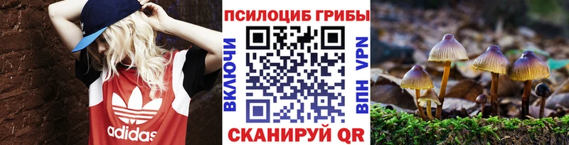 Галлюциногенные грибы MAGIC MUSHROOMS  нарко площадка Telegram  Макарьев  MEGA вход 